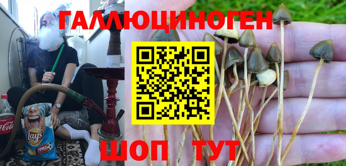 Галлюциногенные грибы мицелий Комсомольск-на-Амуре